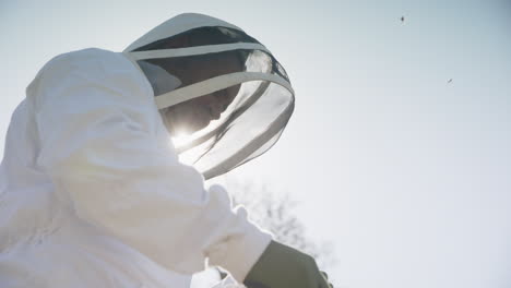 beekeeping - beekeeper inspects a beehive frame, slowmo low angle medium shot