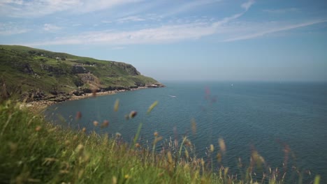 speedboats race across wide ocean tide next to distant green beach cliff daytime