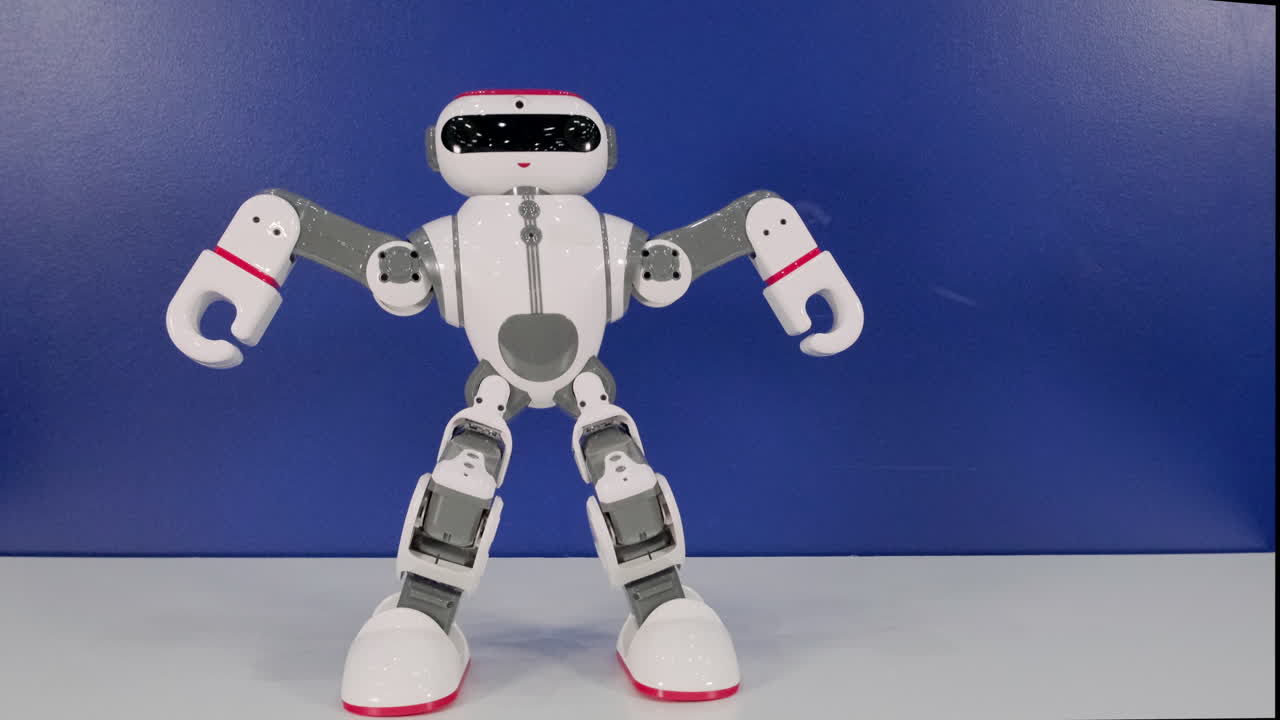 관절형 교육용 로 장난감