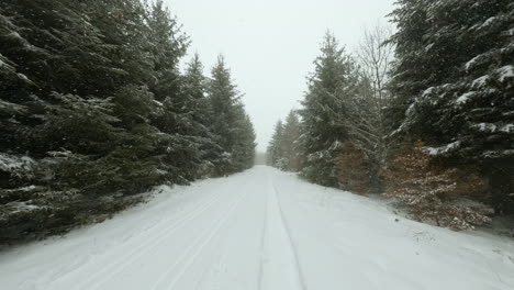 Path-Covered-With-Snow-Through-Forest-In-Bois-du-Jurat-During-Snowfall-In-Winter-Near-Lausanne-City,-Vaud,-Switzerland