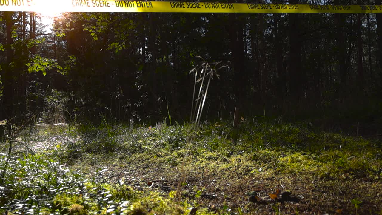Low angle view of a yellow police crime scene forensic tape hanging above a sun covered nature hiking forest trail or road where a knife is stabbed in the mossy and foliage covered ground. Sun shining