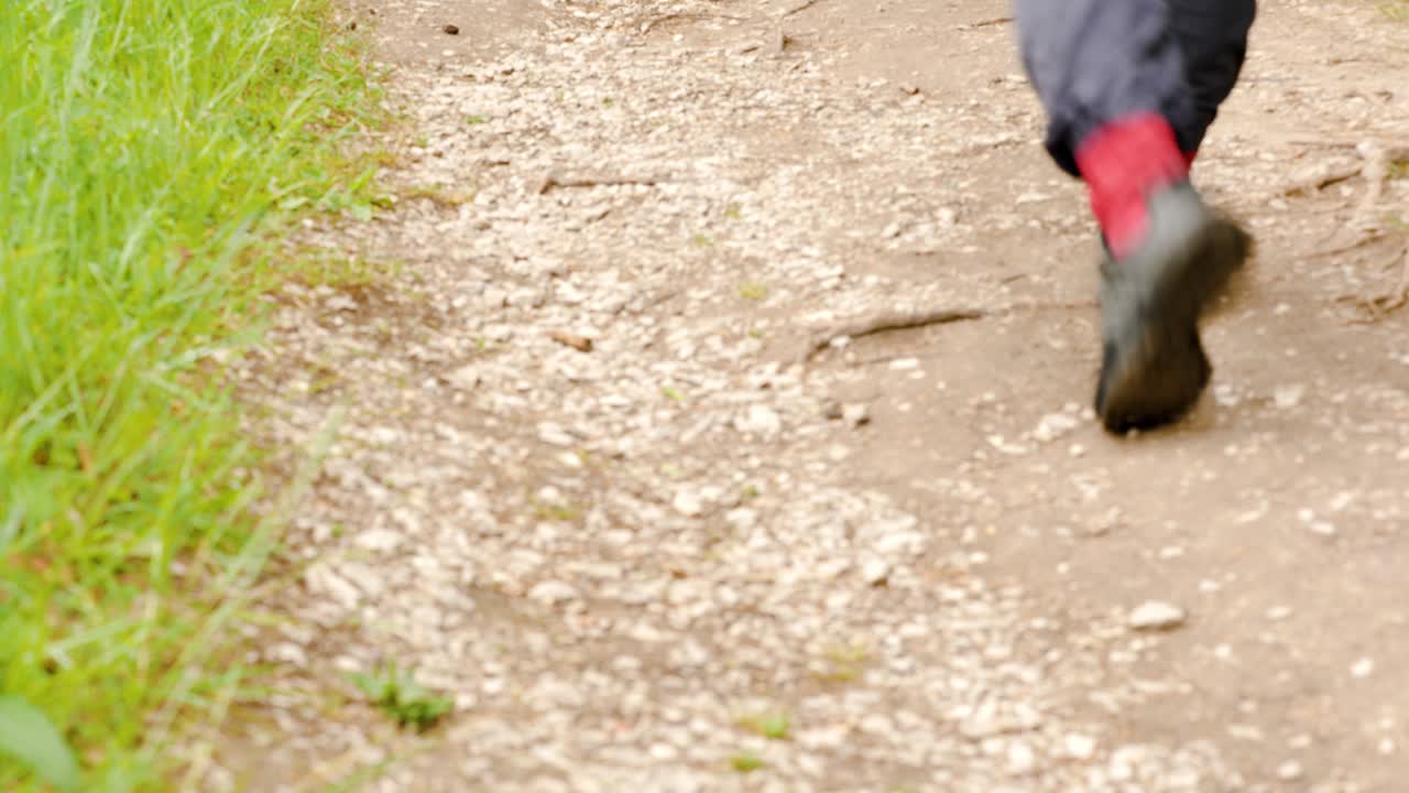 숲을 가로지르는 산책로