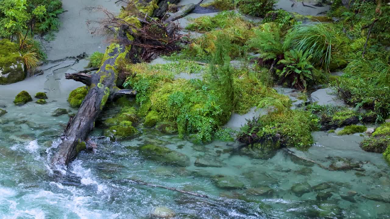 Aerial view of turquoise river water rushing past mossy log and lush green vegetation