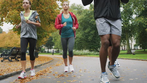 people jogging in a park