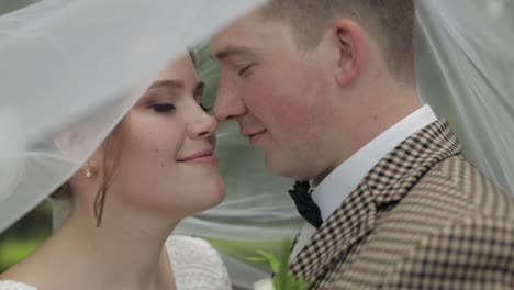 newlyweds. caucasian groom with bride stay under veil in park. wedding couple. man and woman in love