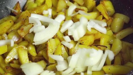 fried potatoes with onions