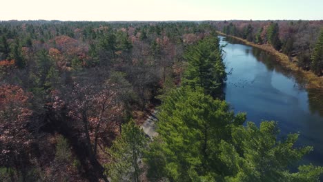 Aerial-View-Descending-Into-Autumn-Forest-Alongside-Calm-River