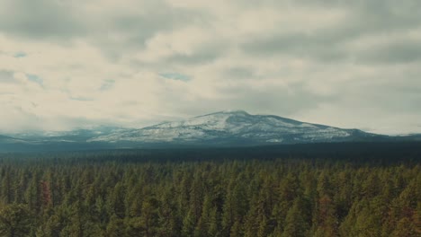 bosque perenne aéreo de 4k con montañas nevadas en el fondo