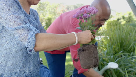 Fokussiertes-älteres,-Vielfältiges-Paar-Beim-Gärtnern,-Blumen-Pflanzen-Im-Sonnigen-Garten,-Zeitlupe