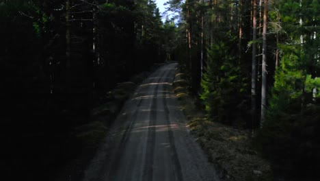 Drohnenaufnahme-Einer-Leeren-Schotterstraße-Mitten-Im-Wald-In-Schweden