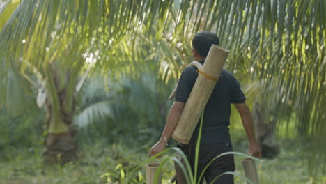 back hero shot of filipino coconut farmer walking in coconut farm carrying coconut liquor harvest