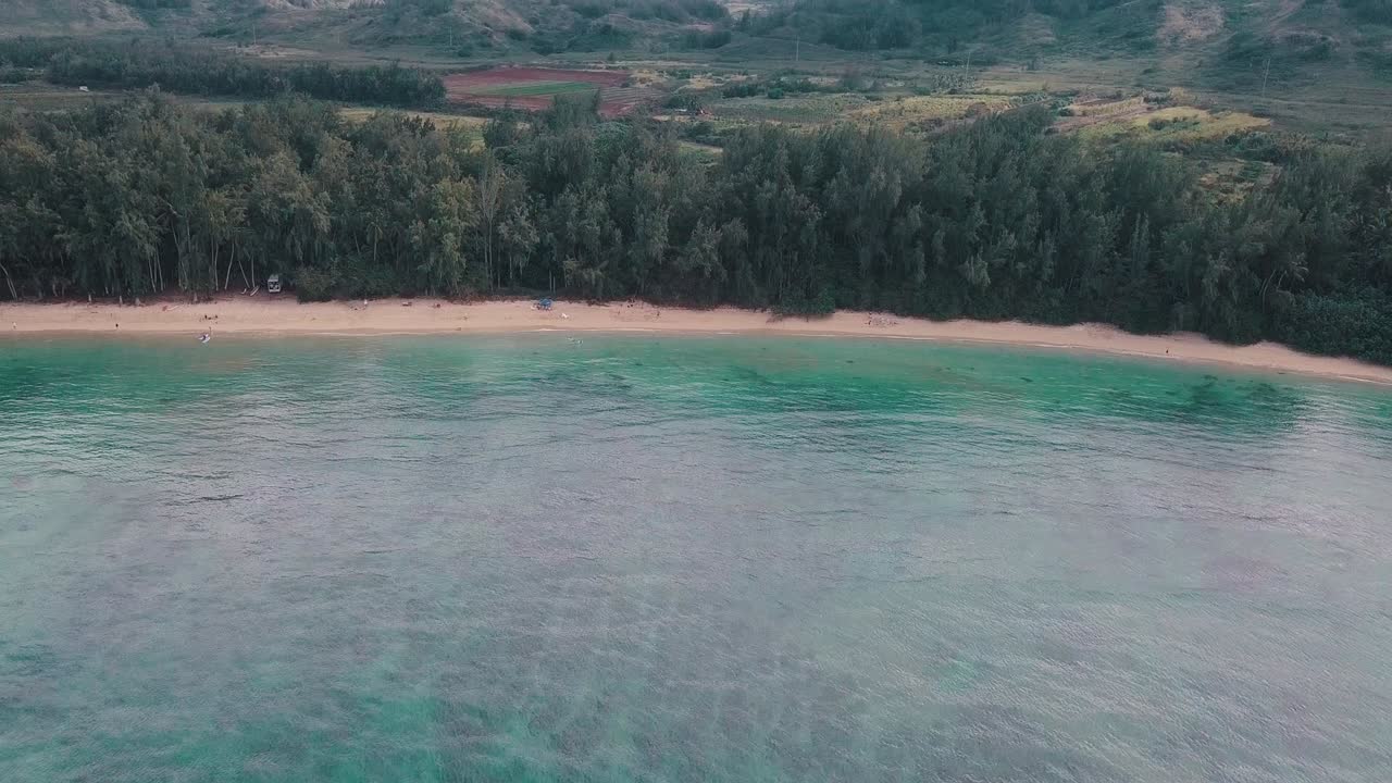 Spiaggia hawaiana a Honolulu.