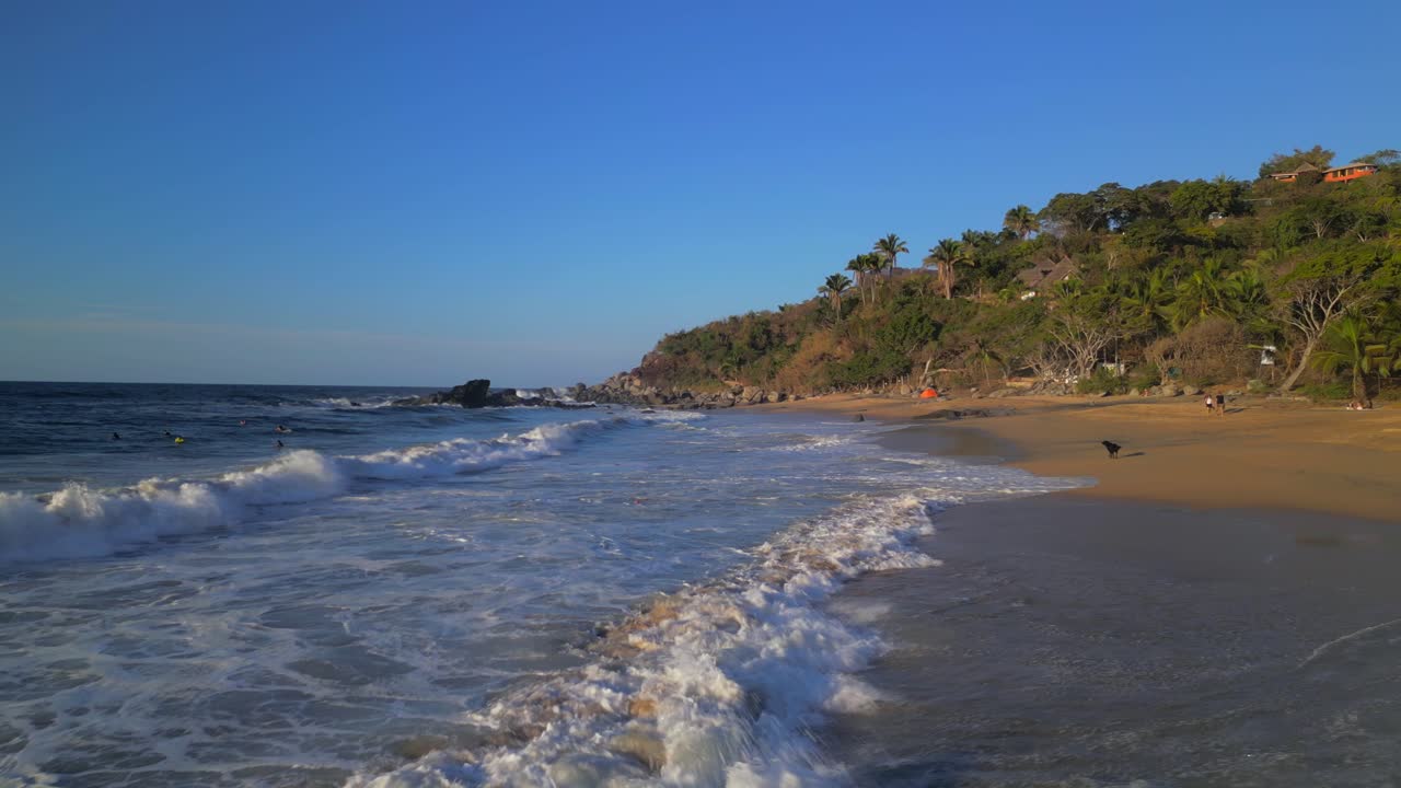 Un uomo nuota tra le onde che si infrangono mentre il suo cane osserva dalla riva sulla spiaggia di Sayulita, Messico.