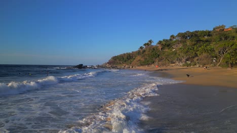 A-man-swims-in-the-crashing-waves-as-his-dog-watched-from-the-shore-on-the-beach-of-Sayulita-Mexico