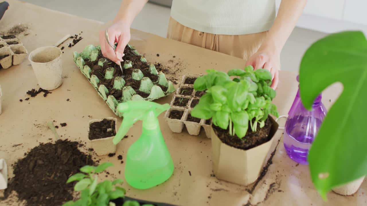 Caucasian woman preparing ground for plant of basil on table in kitchen