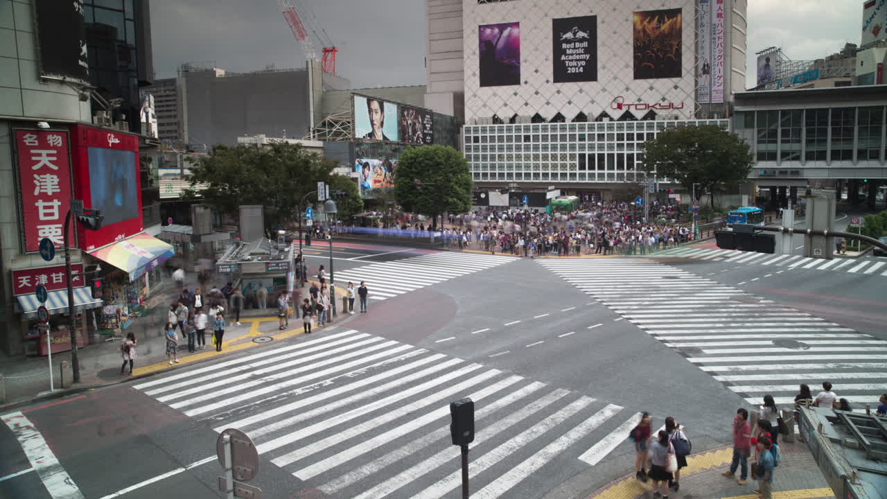 스크램블 교차로 406