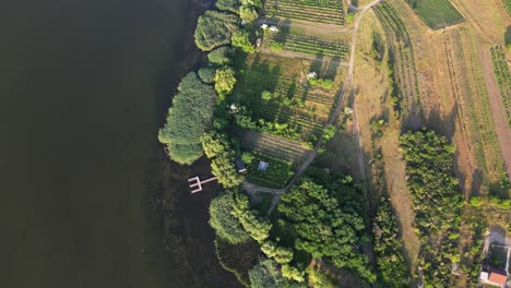 Serene-Aerial-Panorama:-Drone's-Eye-View-of-Dniester-River-and-Countryside-Bliss-with-Greenery-and-Vineyards-of-Molovata-Village
