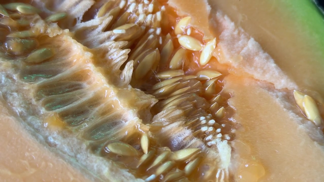 Primo piano di melone cantalupo fresco a fette con semi