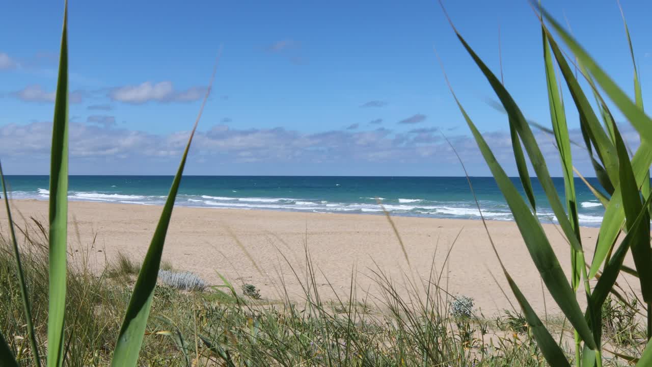 아름다운 해변을 향해 추적