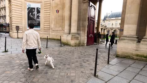 a leisurely stroll with a dog by a historic site