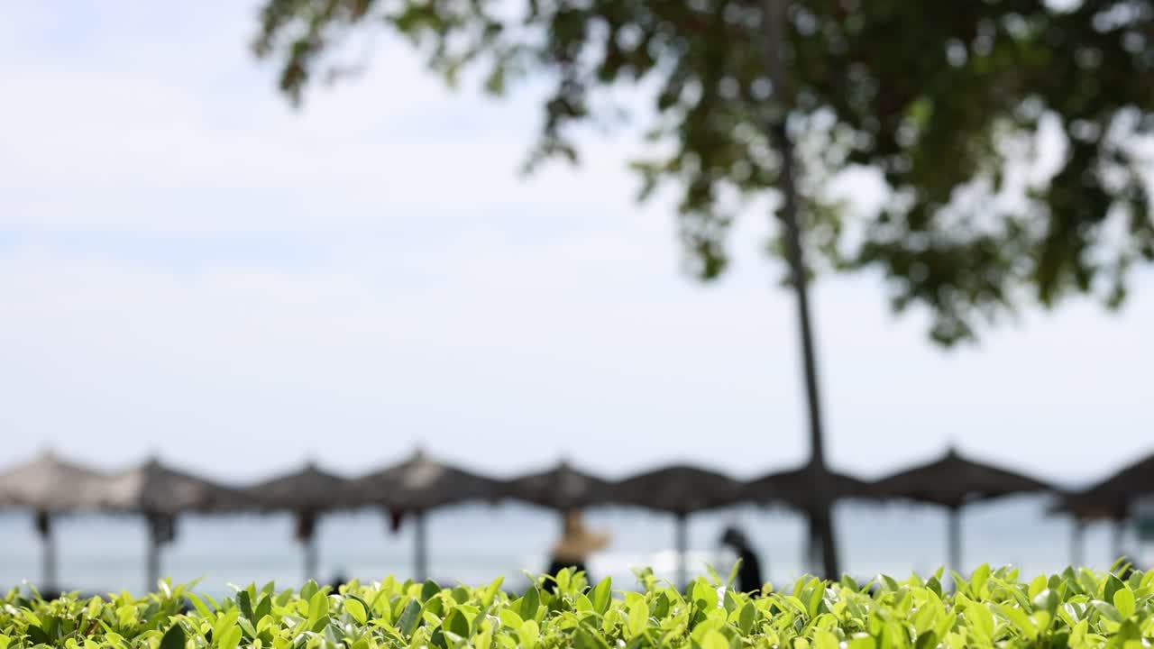 잎은 해변의 우산과 하늘 아래서 걱거립니다.