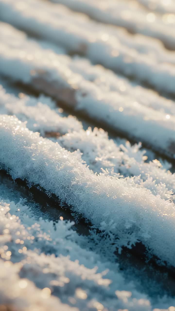 Vertical video: Panning camera to reveal hoarfrost crystals on slats, low sun sparking gleam