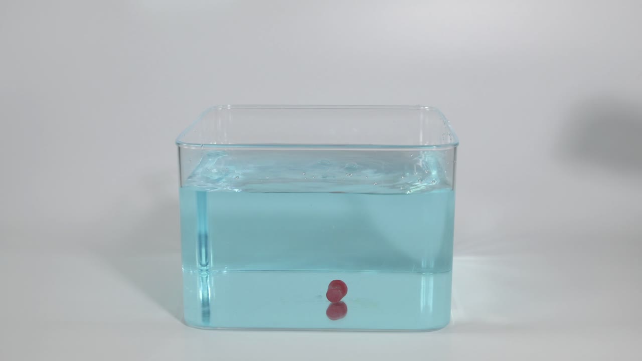 손은 물로 가득 찬 용기에 주사위를 떨어뜨립니다.