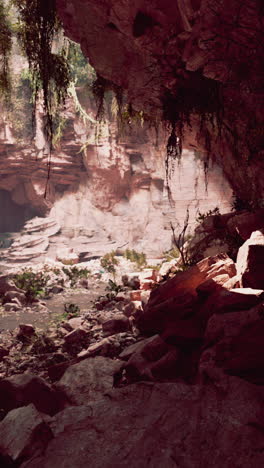 a view of a rocky cliff face with green moss hanging down