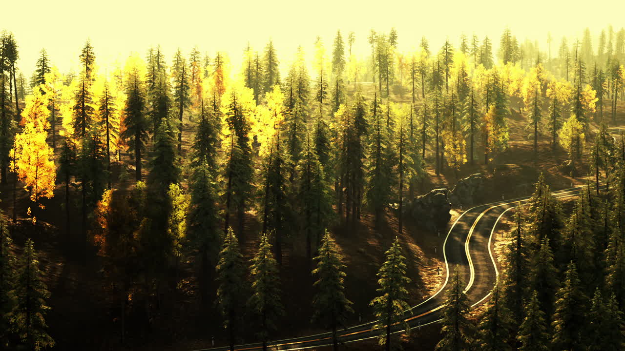 panorámico camino sinuoso a través de un bosque