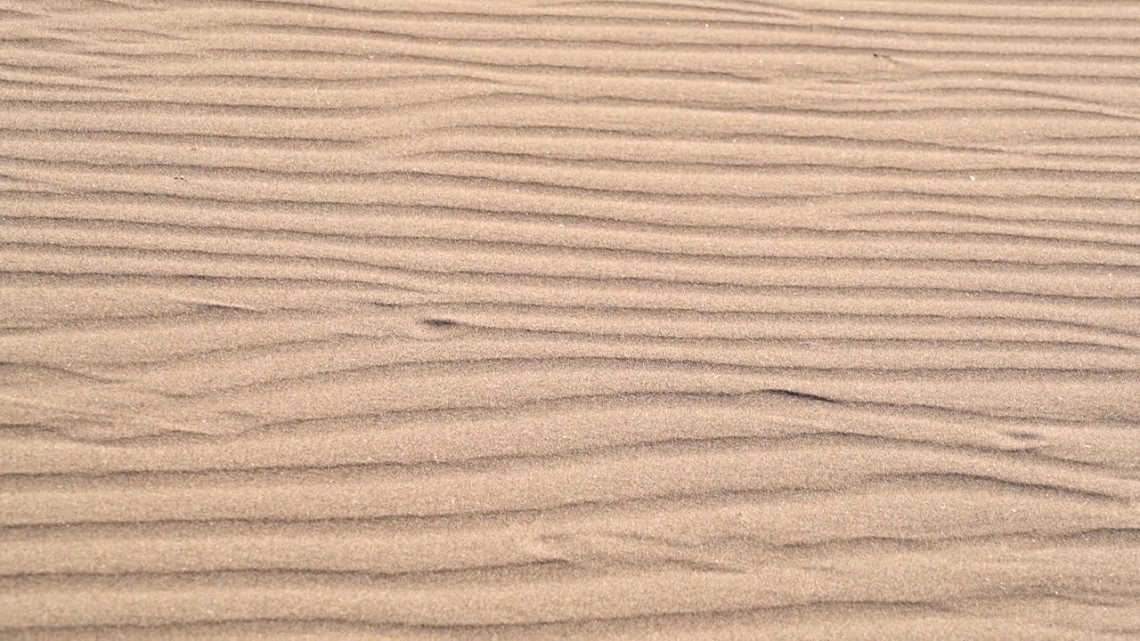 Rippled Sand Patterns on a Desert Dune