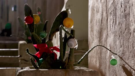 Matera,-Italy-cactus-pan-right-to-left-in-alley