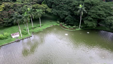 paisaje de un estanque en prados y exuberante vegetación en el parque de la ciudad de singapur en primavera