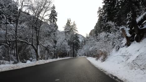 punto de vista del país de las maravillas invernal de conducir en una carretera de montaña nevada en utah