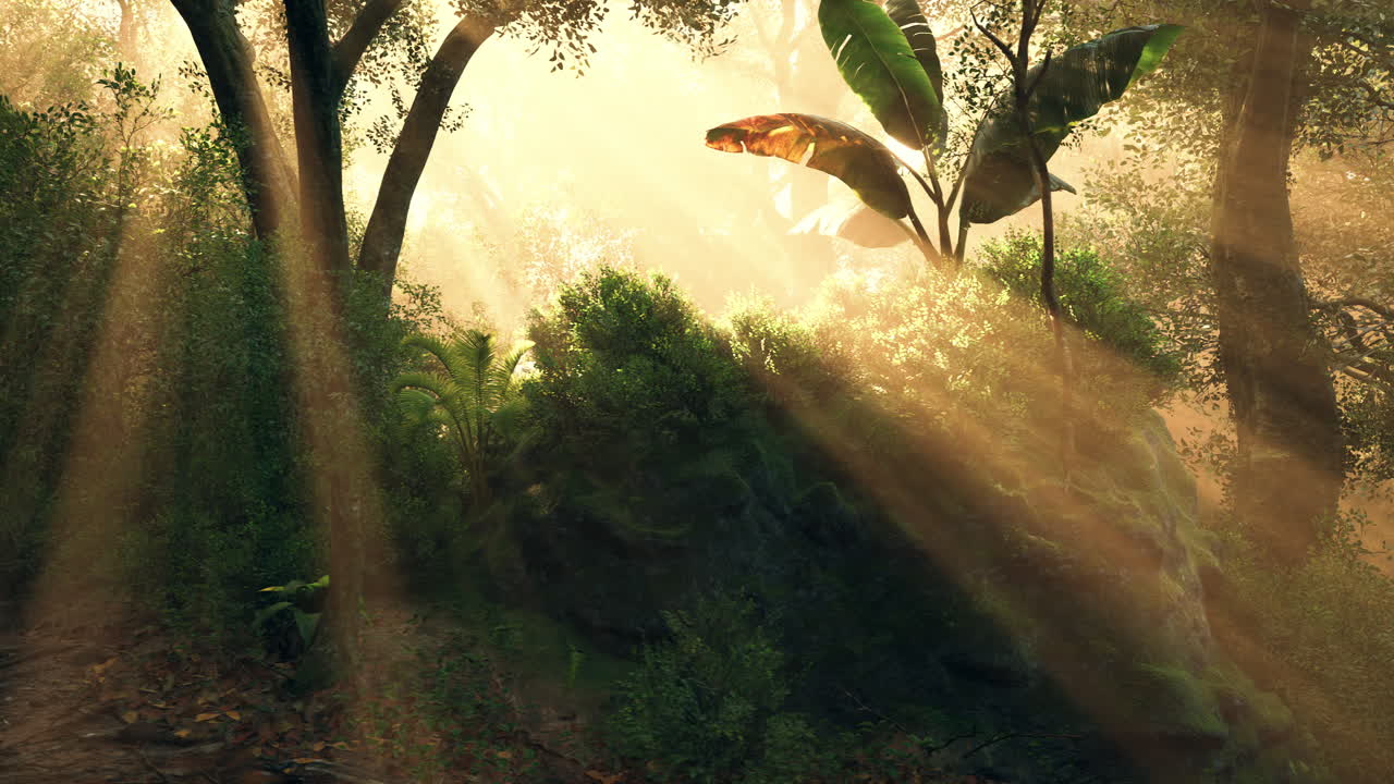 Sunlight filters through trees in a lush forest during golden hour