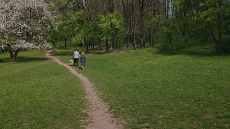 couple walking their dog in a park