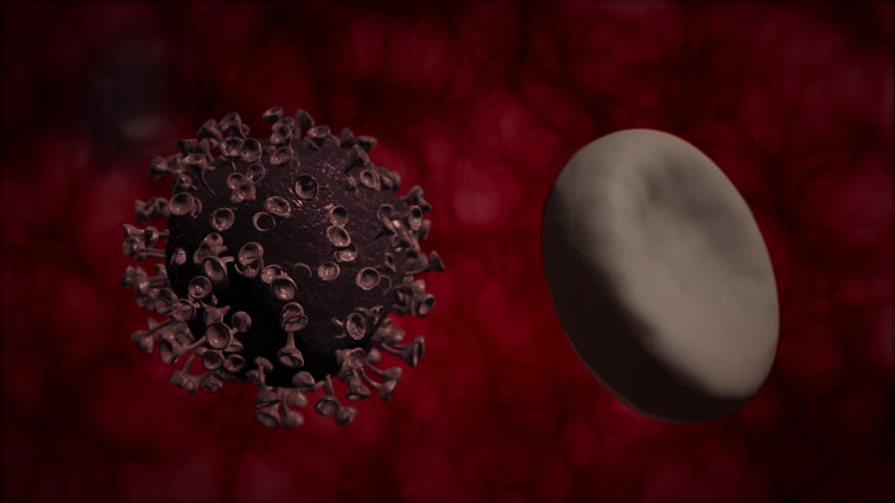 virus y glóbulos rojos