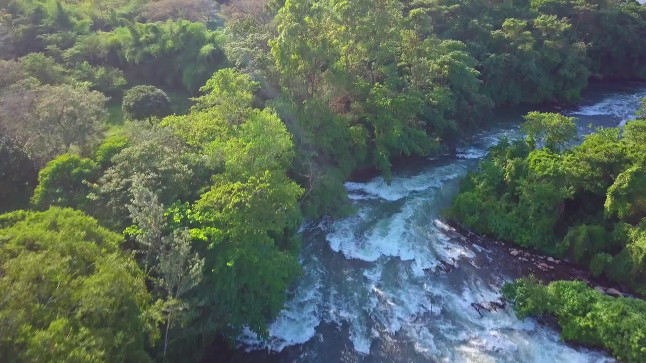 Aerial drone shot of the River Nile flowing through a dense, vibrant green forest in Uganda, Africa, showcasing the natural beauty and power of rapids water flowing
