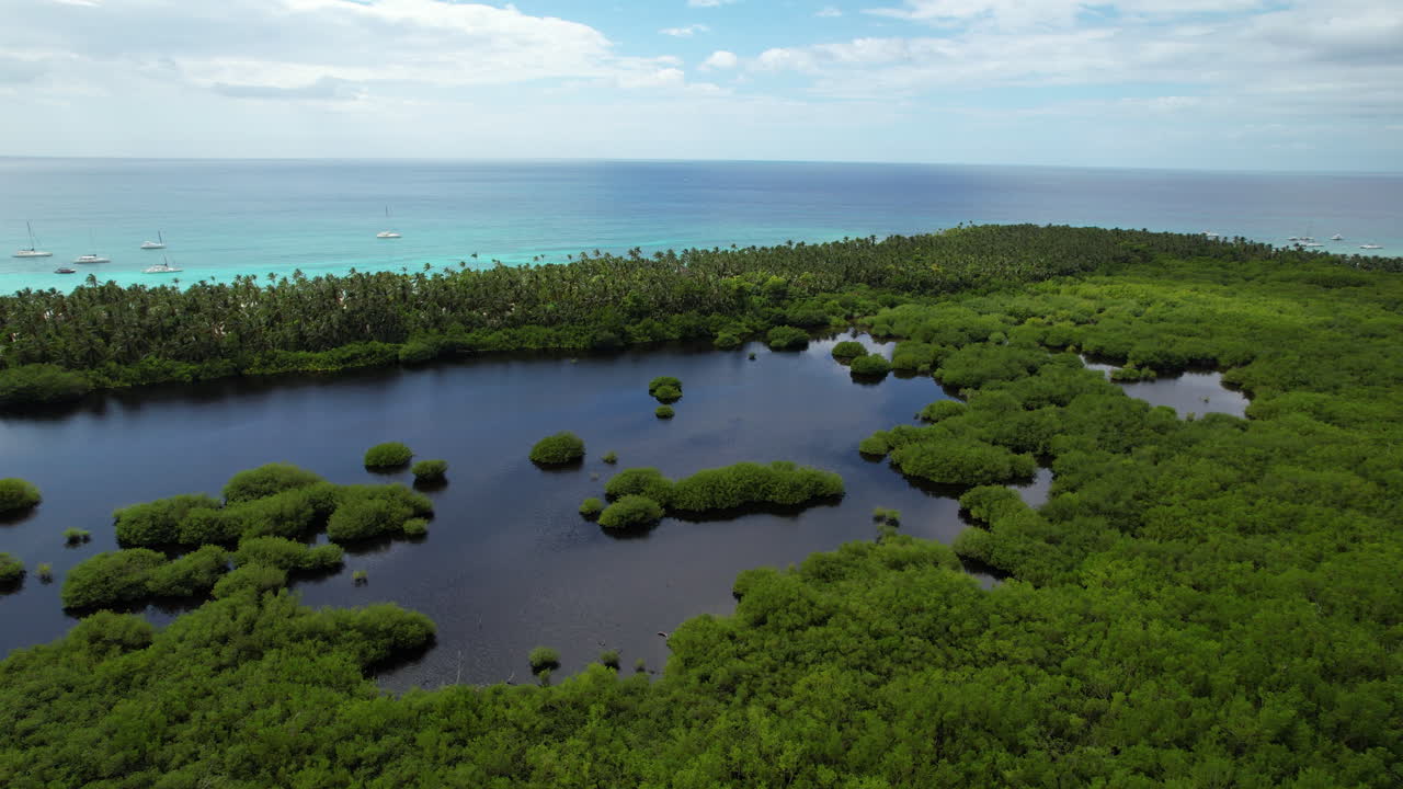 vista aérea de un lago con vegetación verde frente al mar turquesa del caribe, república dominicana