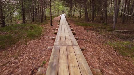 Viaje-A-Través-De-Un-Bosque-De-Pinos:-Imágenes-Estabilizadas-De-Un-Camino-De-Madera-De-Otoño