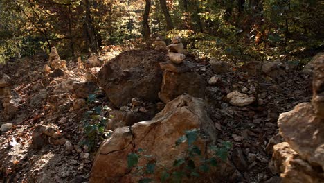 a bunch of rocks stacked in an autumn forest