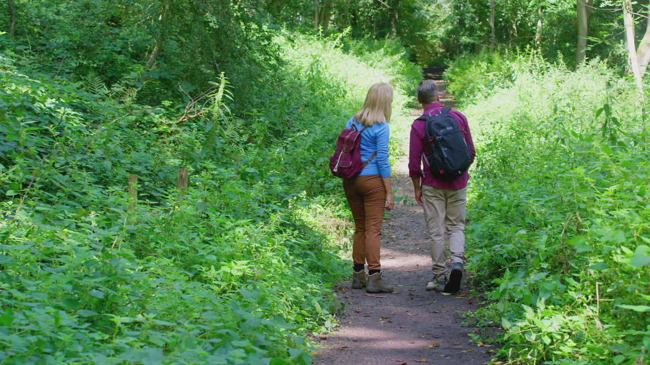 vista posterior de una pareja madura en el campo caminando a lo largo de un camino a través del bosque juntos