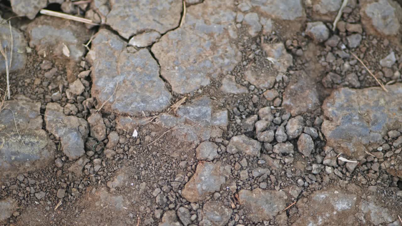 Vista ravvicinata di terreno secco e screpolato e la texture ruvida del suolo, che mostra i modelli naturali formati da siccità ed erosione. Di giorno, ripresa stabile, 4k.