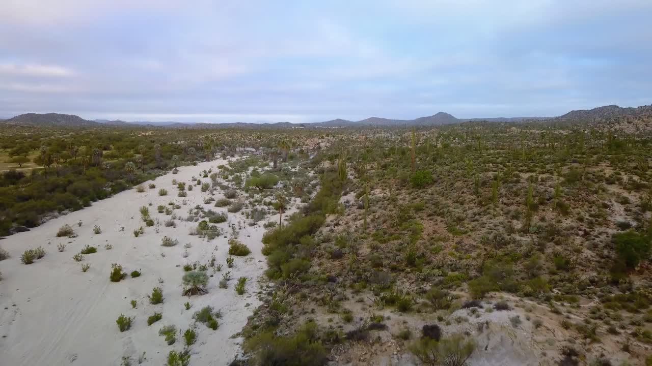 vista aérea sobre árboles boojum y cactus cardón, en rocas del desierto medio, día parcialmente soleado, en catavina, méxico - dolly, tiro de drones