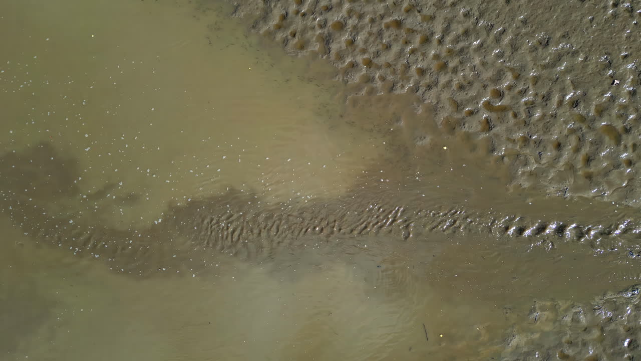 Aerial top down pan shows shallow stream emptying into muddy pond with still water as silt and dirt diffuses and spreads