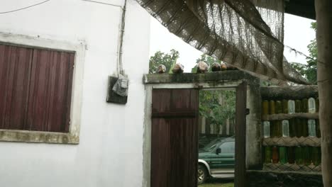 waiting for the rain to pass in a house located in a small village in são tomé island - wide shot