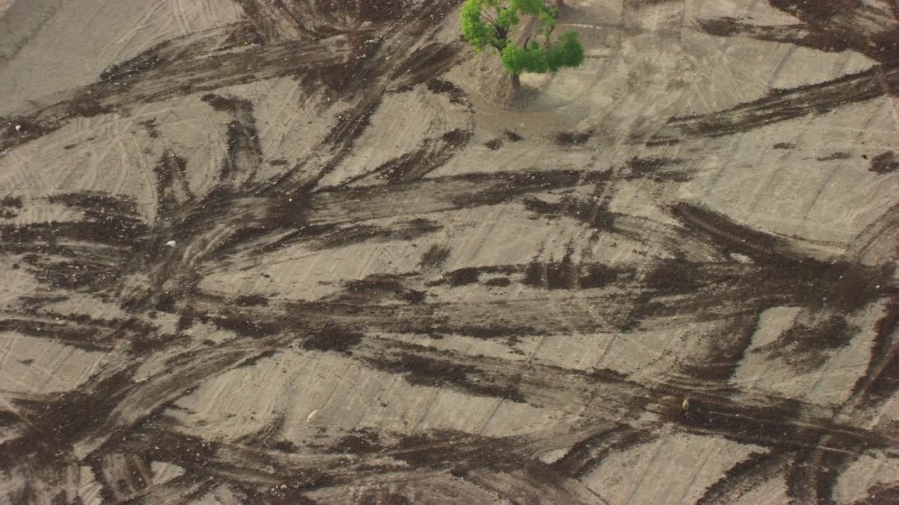Drone footage reveals a single green tree standing untouched in the middle of a dirt-covered field marked by erratic tire tracks. The chaotic patterns suggest vehicle stunts or heavy human activity