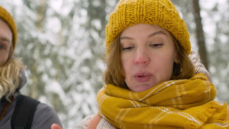 close up view of a woman looking smartphone in winter forest with her friends