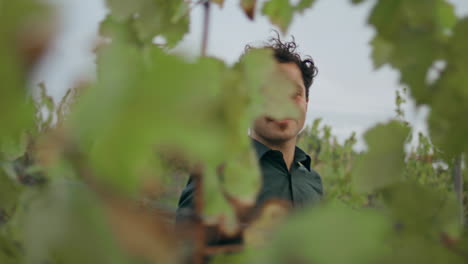 happy vineyard worker walking between vine looking camera with smile close up.