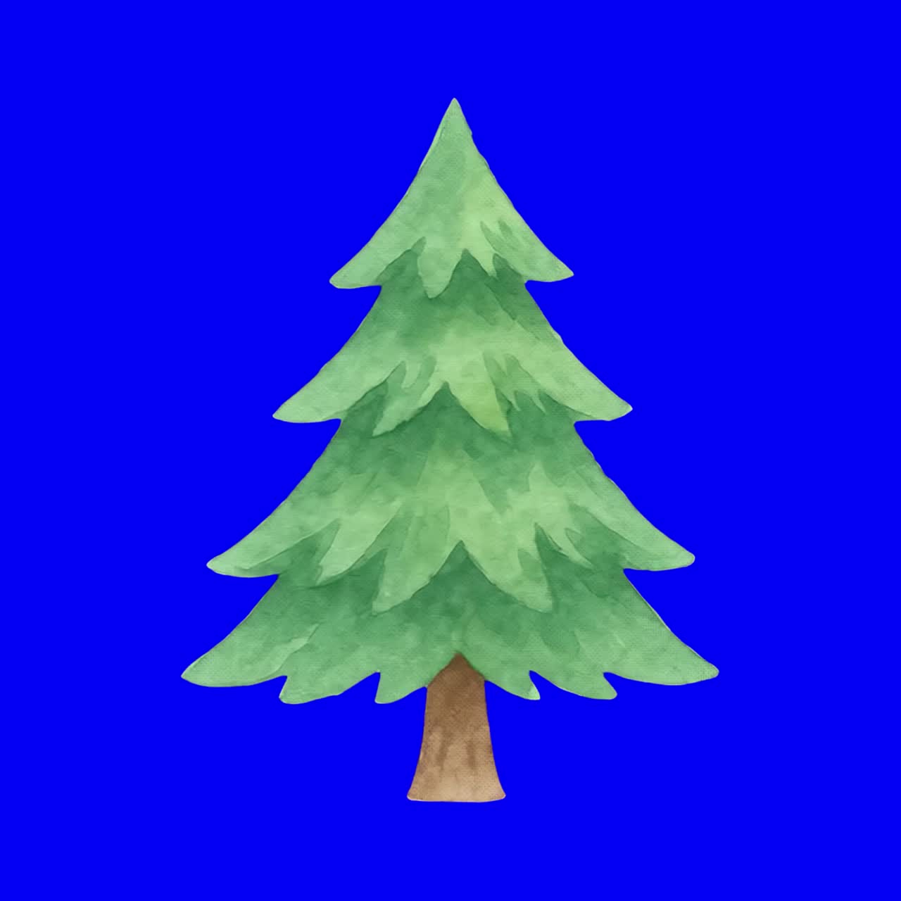 Watercolor evergreen tree illustration animation, transparent 4K video, green screen