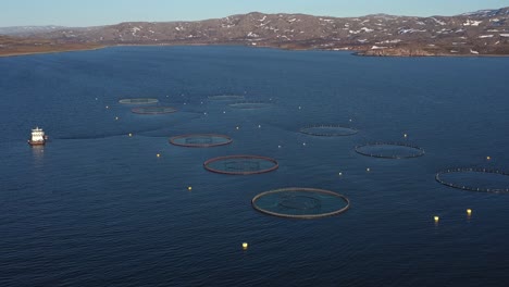 Imágenes-Aéreas-De-Una-Granja-De-Pesca-De-Salmón-En-Noruega